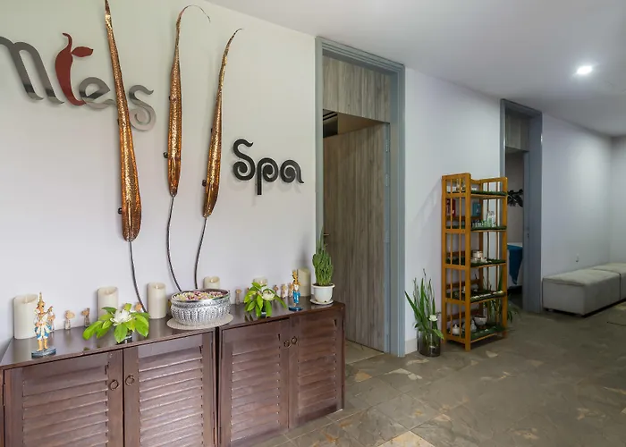 Damrei Angkor Hotel Siem Reap